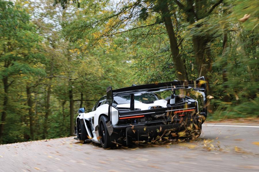  McLaren Senna GTR 2019 года  (фото 33 из 41)